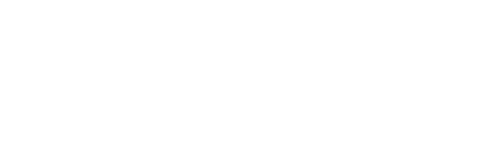 NIO_logo_weiß_freigestellt